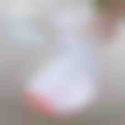 Ηλεκτρική σκούπα UV για βαθύ καθαρισμό υφασμάτων | RAYCLEANER