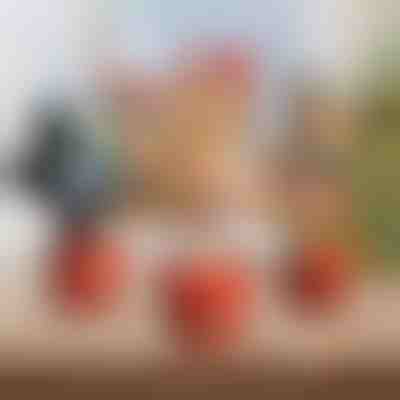 Χριστουγεννιάτικο διαδραστικό παιχνίδι χορού | DANCETKO