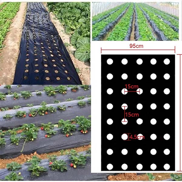 VEGUARD13000__e6bde808